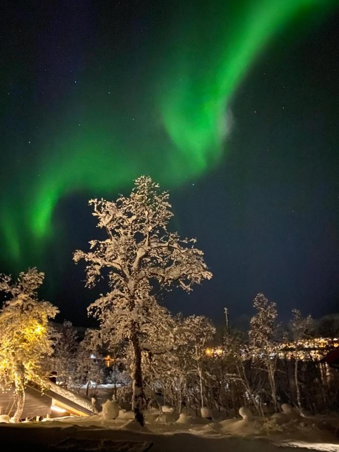 Hakoya Lodge Tromsø Extérieur photo
